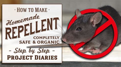 Is rat magic repellent safe for pets? The facts you need to know